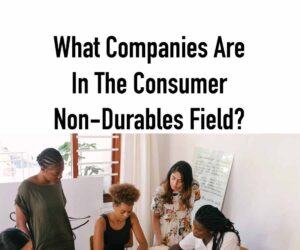 What Companies Are In The Consumer Non-Durables Field