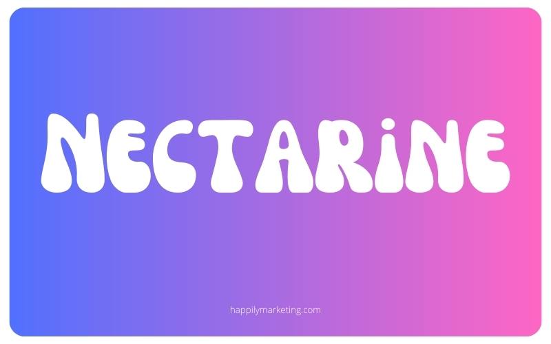 Best Groovy Fonts On Canva- 3