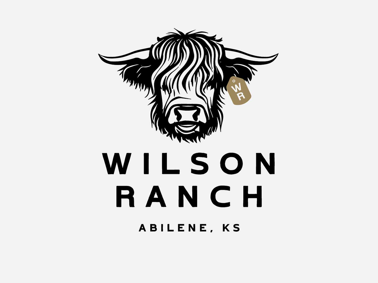 25+ Best Ranch Logo Design Ideas